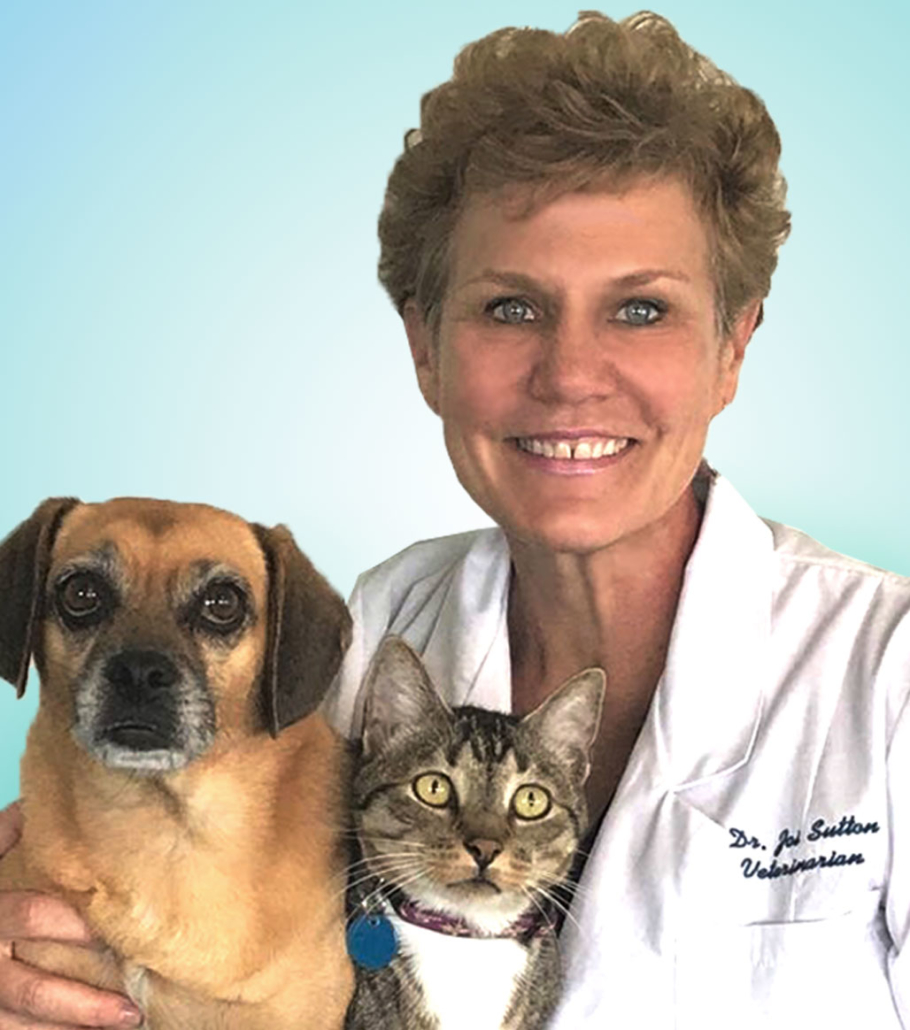 Our Veterinary Service Price List – Tequesta Vet Clinic