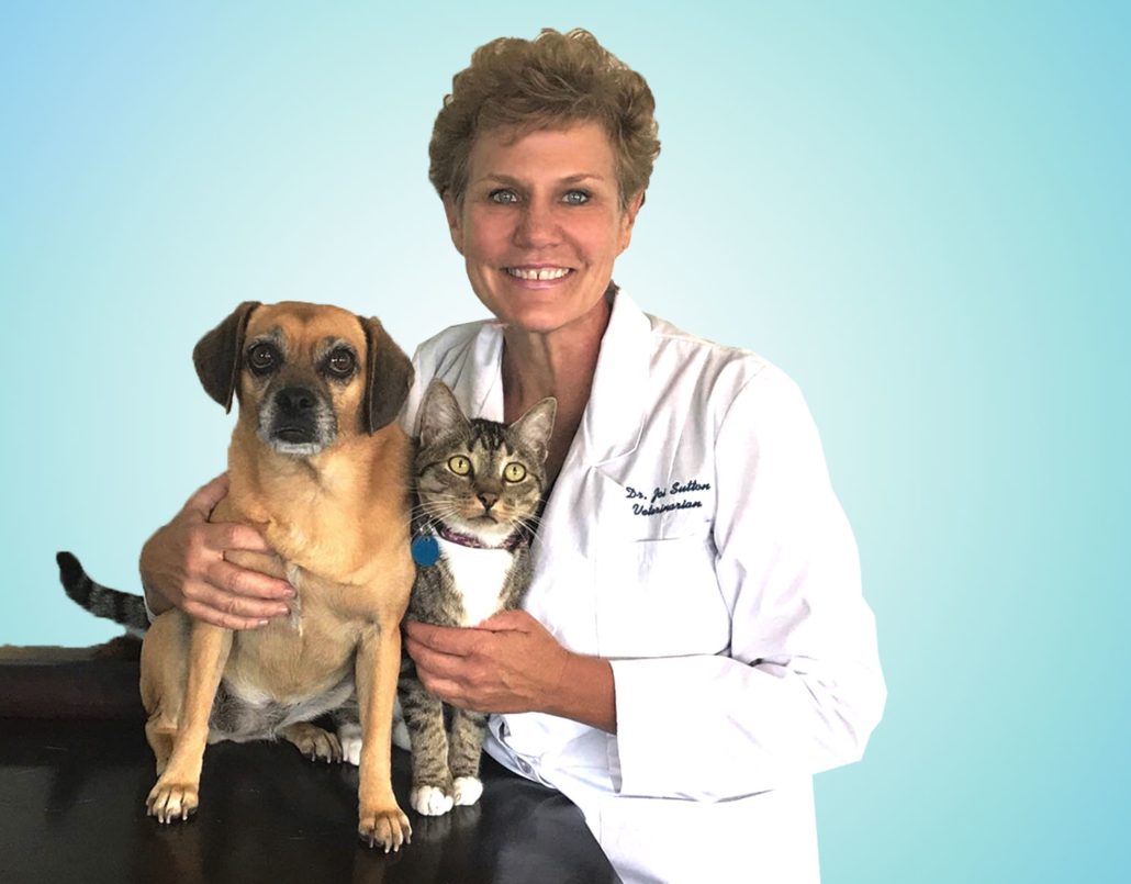 Dr. Joi Sutton, DVM – Tequesta Vet Clinic